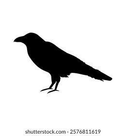  bird, vector, birds, crow, art, feather, fly,