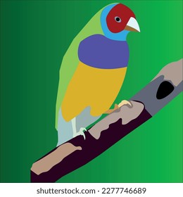 bird vector for book work
