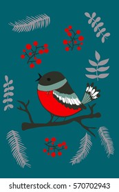 Bird vector. Bullfinch isolated.