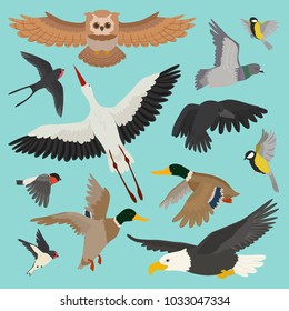 Bird vector cartoon flying birdie owl dove and duck with feather wings illustration set bullfinch stork or swallow for birdfancier isolated on background
