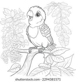 Bird vector coloring book black and white for adults isolated line art on white background.