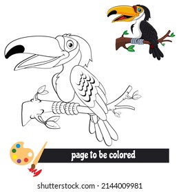 bird vector coloring book for kids