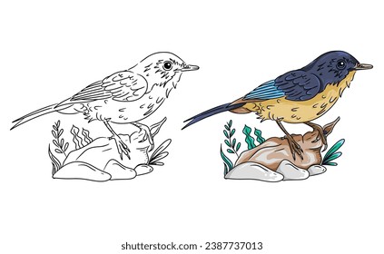 Bird vector coloring page image. Bird vector.
