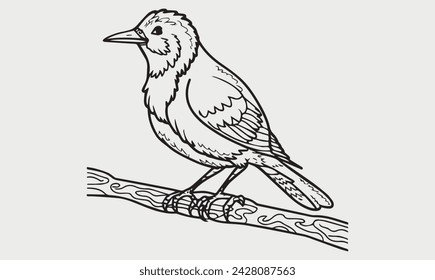 Bird vector coloring page for kids