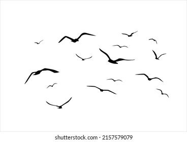 bird vector design hand drawn 