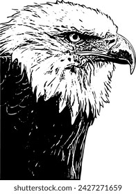 Bird vector drawing contours eagle - bald eagle hand drawn - Artistic