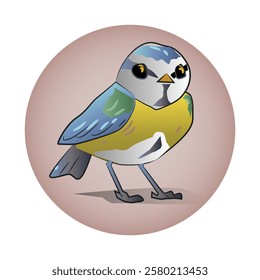 Bird Vector Drawing and Illustration