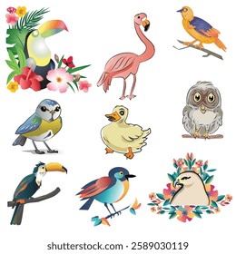 Bird Vector Drawing and Illustration