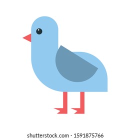bird vector flat color icon 