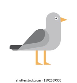bird vector flat color icon 