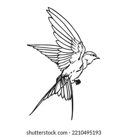 diseño gráfico vectorial de aves, dibujo de tatuajes de arte, dibujo a mano, uso de impresión
