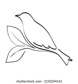 bird, vector graphic design element