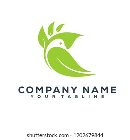 Bird Vector Graphic Template Download Modern