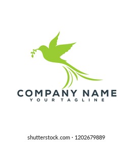 Bird Vector Graphic Template Download Modern