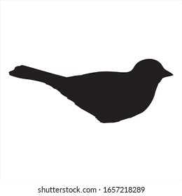 Bird vector, bird icon vector, vector illustration.