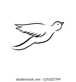 Bird Vector Illustration
