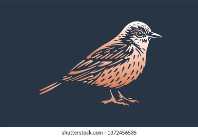 Bird Vector Illustration