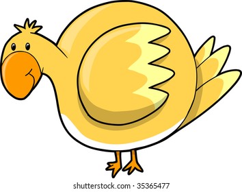 Bird Vector Illustration