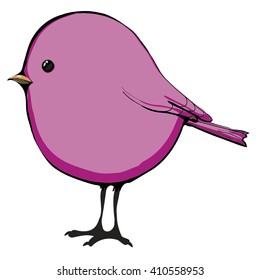 bird - vector illustration