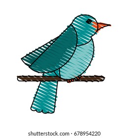 bird vector illustration