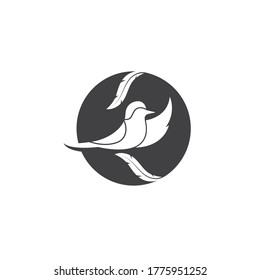 bird vector illustration design template