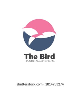 bird vector illustration design template