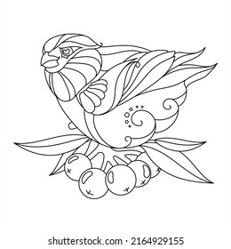bird vector illustration. drawn cartoon character bird bullfinch vector illustration isolated on white background. coloring book
