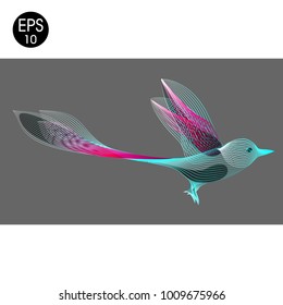 Bird. Vector illustration of exotic flying Hummingbird