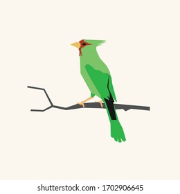 Bird Vector Illustration. Green Birdgraphic illustration.