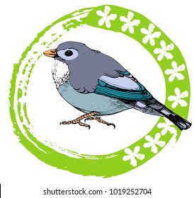 bird vector illustration, hand drawing ,over white background