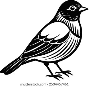 Ilustración vectorial de pájaro. dibujado a mano negro sobre fondo blanco.