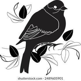 A bird vector illustration image art