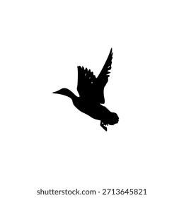 Ilustración vectorial del pájaro, pájaro aislado en blanco, pájaro de la mosca, pato de la mosca