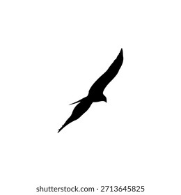Ilustración vectorial del pájaro, pájaro aislado en blanco, pájaro de la mosca, gaviota de la mosca