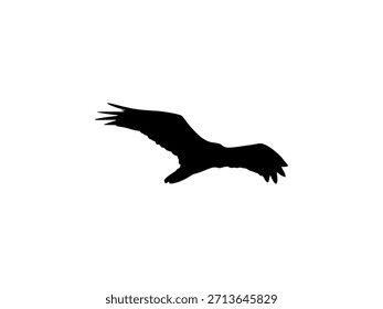 Vektorgrafik des Vogels, Vogel einzeln auf Weiß fliegender Vogel
