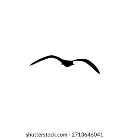 bird vector illustration, bird isolated on white, flying seagull