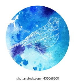 bird. Vector illustration isolated on watercolor background. Detailed  drawing of a bird