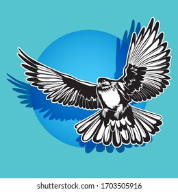 bird vector illustration With lines and colors that are clear and realistic details, Collection set for use illustration vector and simple design.