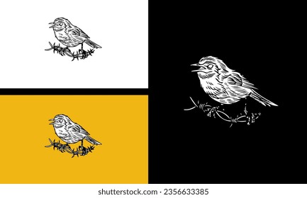 bird vector illustration outline design