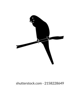 bird vector illustration, perfect for icons, logos, mascots, etc