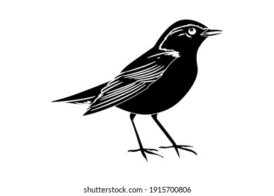 Bird Vector Illustration Solid Color