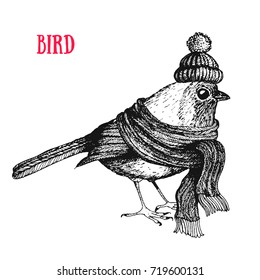 Bird vector illustration. Vintage bird in a scarf and hat. Autumn or winter bird. Engraved style.