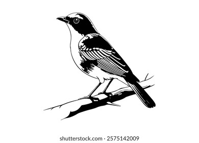 A bird vector illustration white background