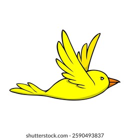 bird vector illustration,isolated on white background,top view