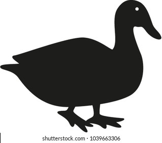 Bird vector illustrator