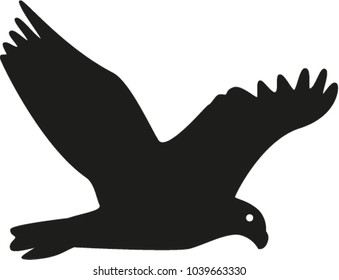 Bird vector illustrator