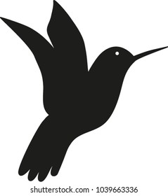 Bird vector illustrator