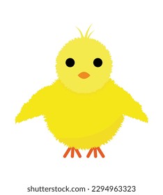 Bird vector image or clipart