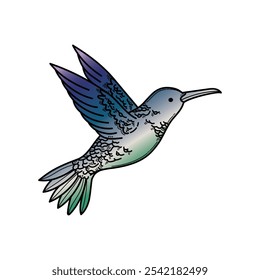 Imagen del Vector del pájaro, Imagen de la mosca del pájaro que tararea, Colibri o Imagen del arte del Clip del colibrí.