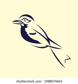 Bird vector isolated on background, creative vector